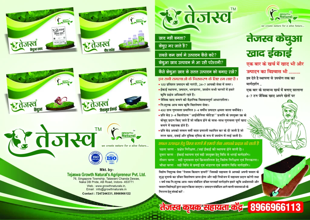 brochure printing in Delhi